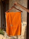 Vibrant Orange